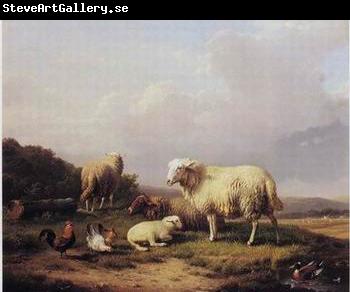 unknow artist Sheep 172